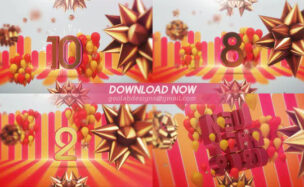 VIDEOHIVE NEW YEAR 2020 COUNTDOWN L NEW YEAR CELEBRATION TEMPLATE