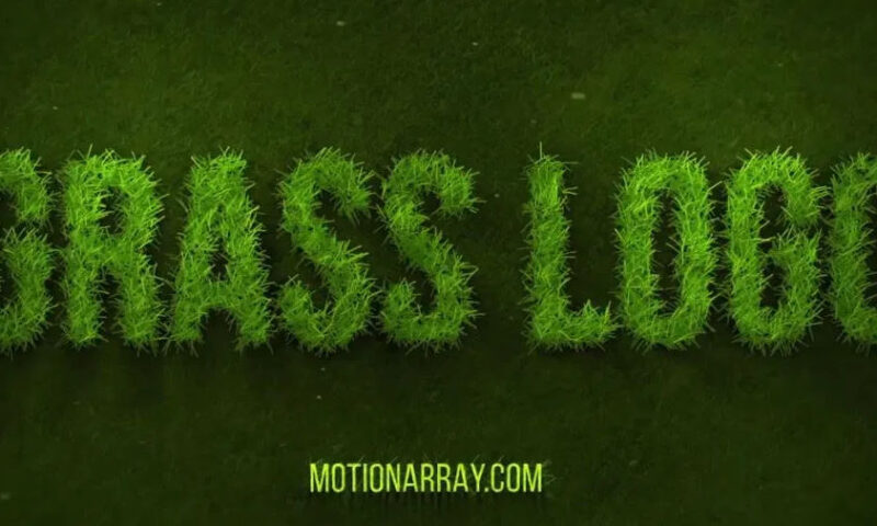 Grow Grass Logo – After Effects Motion Array
