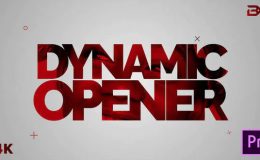 Dynamic Stomp Opener 24512228