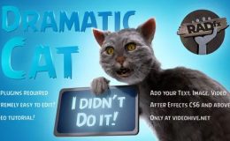 Videohive Funny Dramatic Cat