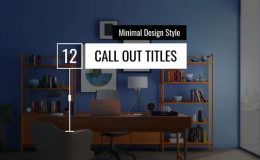 Videohive Minimal Call Out Titles 25781228