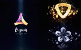 VIDEOHIVE GLOSSY|SILVER|GOLD LOGO REVEAL