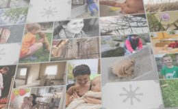 Photo Cards - free videohive
