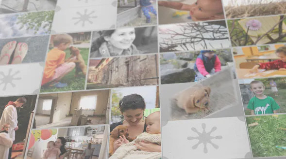 Photo Cards – free videohive