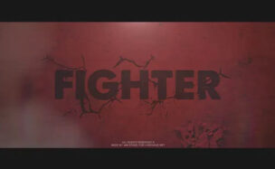 Fighter Free videohive
