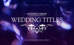 Wedding Titles Videohive