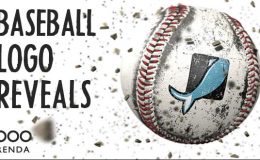 Baseball Logo Reveals Videohive