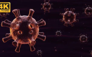 COVID-19 Coronavirus –  Motion Graphics