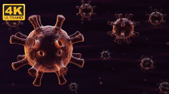 COVID-19 Coronavirus –  Motion Graphics