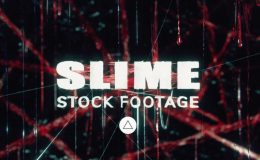 SLIME STOCK ASSETS - TRIUNE DIGITAL