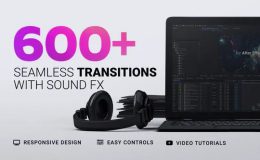 600+ Seamless Transitions - (Up to 4K)