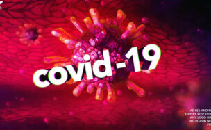 VIDEOHIVE COVID-19 LOGO