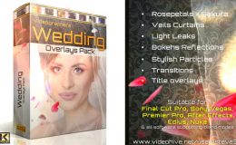 Videohive Wedding Overlays Pack - Motion Graphics
