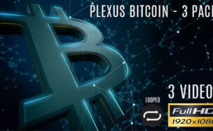 Plexus Bitcoin – 3 Pack