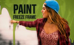 Videohive Paint Freeze Frame