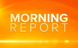 Videohive Morning Report - 19223664