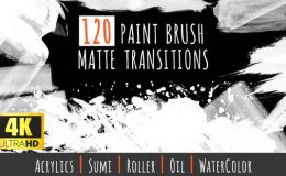 120 Paint Brush Matte Transitions 4K