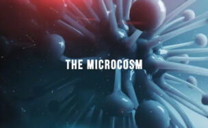 The Microcosm – Videohive