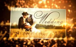 Videohive Wedding - 16410509