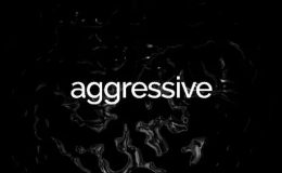 Agressive Glitch Stomp - Videohive