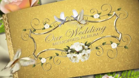 Our Precious Wedding Album Revostock