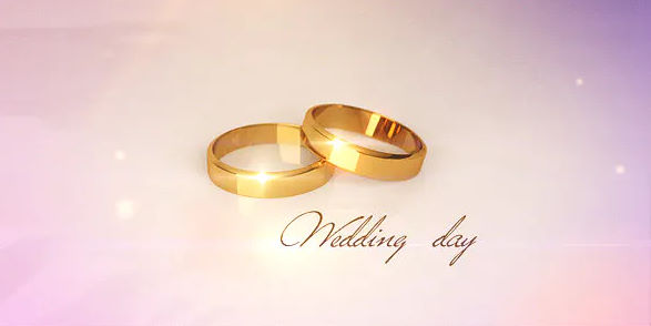 Videohive Wedding day 6233546