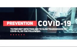 Coronavirus / Covid-19 Slideshow - Videohive