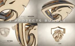 Gold Luxury And Epic Logo Reveal - Videohive