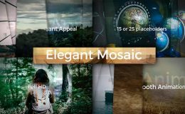 Elegant Mosaic Opener - Videohive