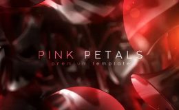 Pink Petals - Videohive