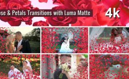 Rose and Petals Transition with Luma Matte – 7 Variations 4k - Videohive