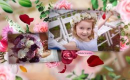 Slideshow floral - After Effects Templates