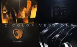 Gold And Silver Logo Reveal - Videohive