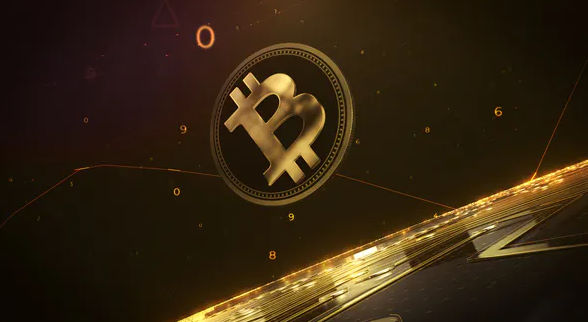 Crypto Money Logo – Videohive