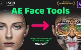 AE Face Tools v2 - Videohive