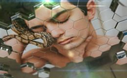 Honeycomb Slideshow - Videohive