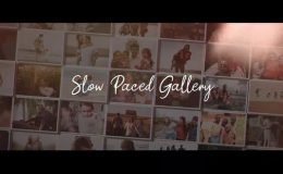 Slow Paced Gallery - Videohive