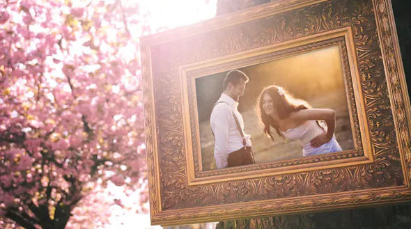 Wedding Photo Gallery in a Cherry Blossom Alley – Videohive
