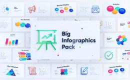 Corporate Infographics Charts Pack - Videohive