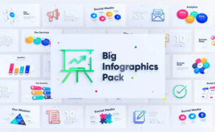 Corporate Infographics Charts Pack – Videohive