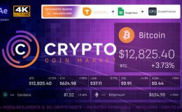 Cryptocurrency Coin Market Kit | Bitcoin Tracker - Videohive
