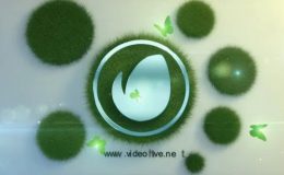 Videohive Logo in the Grass