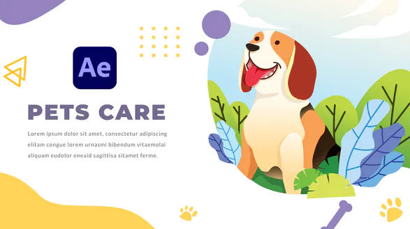 Pets Care and Veterinarian After Effects