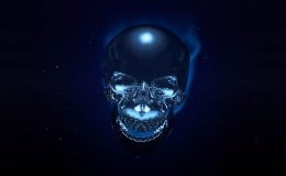 Skull Logo 129830 + Sound Effects