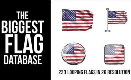 221 Looping World Flags - Videohive