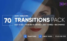 VIDEOHIVE TRANSITIONS - 19981614