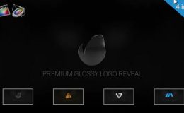 Videohive Premium Glossy Logo Reveal - Apple Motion