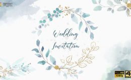 Videohive Wedding Invitation 28023914