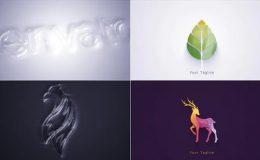 Videohive Clean Elegant Logo Reveal