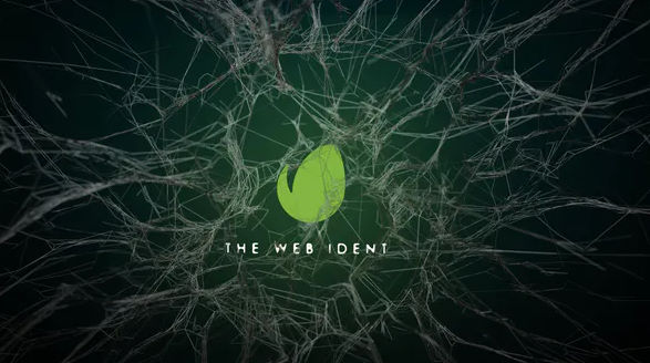 Videohive Webs Logo Reveal
